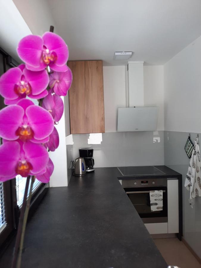 Hisa Spuntar Apartment Bovec Exterior photo